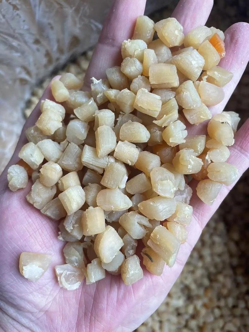 足干大连干贝 东莞聚海德食品的鲜味之选